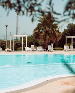 a swimming pool with chairs and a palm tree at Hotel Gran Torre in Càbras