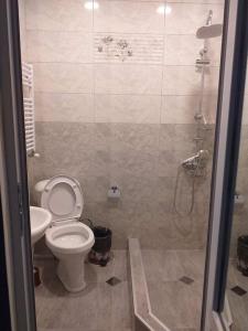 a bathroom with a toilet and a shower at Дом гарах in Bakuriani