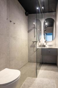 a bathroom with a toilet and a sink and a mirror at Palanga Studios in Palanga