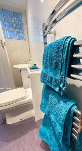 un bagno con un asciugamano blu appeso a uno scaffale di The Garden Flat a Plymouth