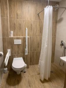een badkamer met een toilet en een douche bij Wellness penzion Marta in Kuklík