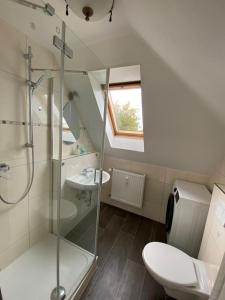 uma casa de banho com um chuveiro, um WC e um lavatório. em DG Apartament em Bersenbrück