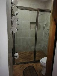 聖克里斯托瓦爾－德拉斯卡薩斯的住宿－LIN K'AK' Cabaña San Cristobal de las casas，带淋浴、卫生间和玻璃门的浴室