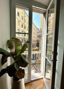 a plant in a vase in front of a window at Bay of Art in Trieste