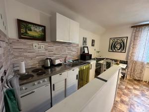 Kuchyňa alebo kuchynka v ubytovaní Apartmány MK u MODRÉ KOČKY