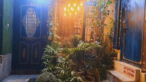 an entrance to a house with a blue door and plants at Sufi Khandar Home Stay in New Delhi