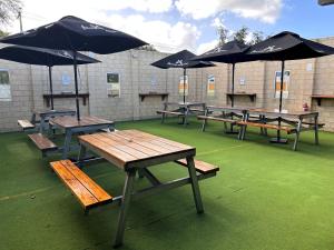 un gruppo di tavoli da picnic con ombrelloni sull'erba di Jurien Bay Hotel Motel a Jurien Bay