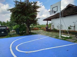 a basketball court with a tree and a basketball hoop at Viewest Glamping Dong Mo in Hanoi