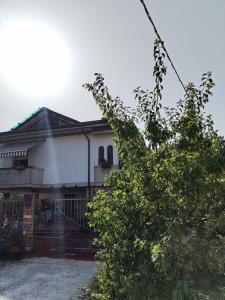 una casa con un albero di fronte di Villa dolce a Massa