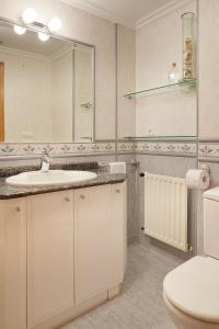 a bathroom with a sink and a toilet and a mirror at EARRA - Salbide Duplex - Garaje, 7 min de la playa in Zarautz