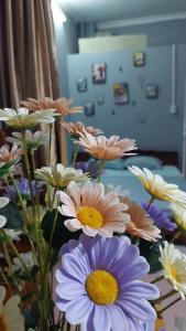 Fotografie z fotogalerie ubytování alley homestay_Liễu Giai v Hanoji