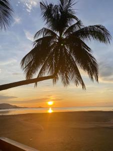 een palmboom op een strand bij zonsondergang bij Sasitara Thai Villas in Choeng Mon Beach