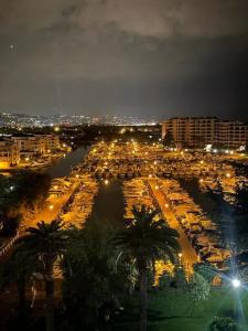 uma cidade à noite com palmeiras e edifícios em Magnifique 2p Cannes Marina em Mandelieu-la-Napoule