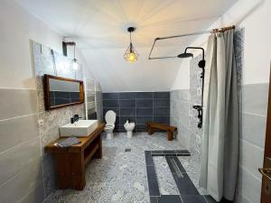 a bathroom with a sink and a toilet and a shower at Casa La doi nuci in Brădet