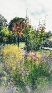 un jardín con un ramo de flores en un campo en A Villa di Rutali, en Rutali