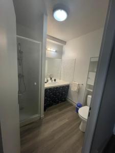 La salle de bains est pourvue d'une douche, d'un lavabo et de toilettes. dans l'établissement Appartement calme au cœur de la ville, à Lons-le-Saunier