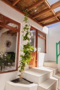 una planta con flores blancas subiendo por el lateral de un edificio en Casa Carmen en Haría