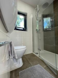 uma casa de banho com um WC e uma cabina de duche em vidro. em Domki Skandynawskie nad Pilicą, Biała Góra, mazowieckie 