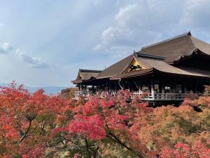 a building with autumn trees in front of it at Kamogawa Building 9th Floor-1 - Vacation STAY 41867v in Kyoto