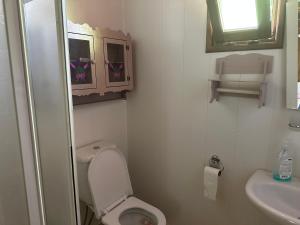 a small bathroom with a toilet and a sink at Angel camping in Kumluca