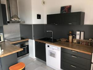 kuchnia z czarnymi szafkami i zlewem w obiekcie Appartement a proximité du centre et de la Plage a Meze w mieście Mèze