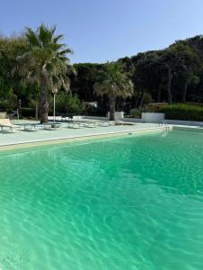 una piscina con acqua turchese e palme di Villaggio Campeggio Nettuno di Paestum a Paestum