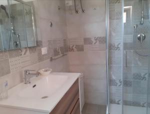 a bathroom with a sink and a shower at Pier Delle Vigne B&B in Pineto