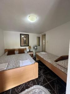 a bedroom with two beds and a lamp at Apartments Moracanin in Sutomore