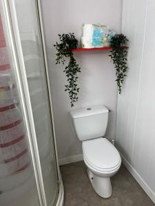 a bathroom with a toilet and plants on a shelf at Petite maison sympa in Saint-Jean-sur-Mayenne