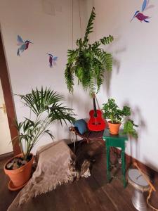 FirgasAcoran Family Guests House Firgas with Included Morning Yoga Practice的相册照片