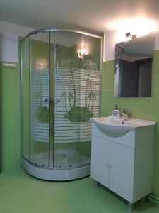 a bathroom with a glass shower and a sink at Apartament Magnolia Nearby City Center With Parking in Sibiu