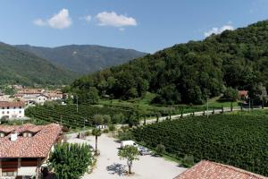 arial view of a vineyard in a town with mountains at Wine Resort in Faedis