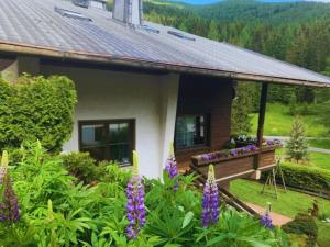 A garden outside Lilly Chalet- Apartments with private sauna, close to ski lifts
