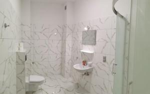 Ένα μπάνιο στο Apartamenty pod Jagodną +29 φωτογραφίες