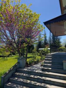 a set of stairs in front of a house with a tree at TRABZON VILLA l in Trabzon