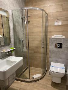 a bathroom with a shower and a sink and a toilet at Grand Christer Hotel in Kyiv