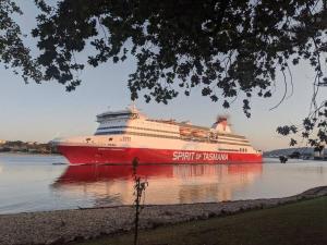 a large cruise ship sitting in the water at Badger’s Inlet Devonport in Devonport