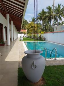 um grande vaso branco com uma planta ao lado de uma piscina em Tortuga Beach Hotel em Paiyagala South
