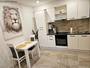 Kuchyňa alebo kuchynka v ubytovaní Apartments Sinković