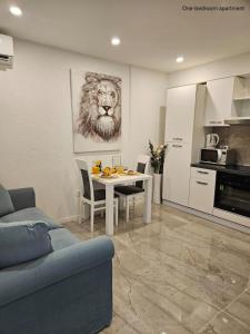 Kuchyňa alebo kuchynka v ubytovaní Apartments Sinković