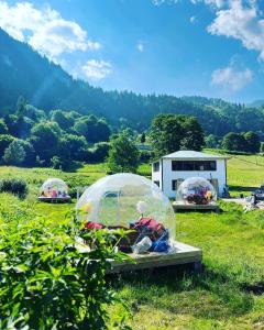 a couple of domes in a field of grass at Zambula bungalov in Trabzon