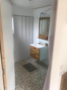 uma casa de banho com um lavatório e um espelho em Petit studio sur propriété em Orvault