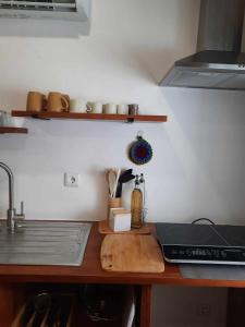 um balcão de cozinha com um lavatório e um fogão em Grandma villa em Pataias