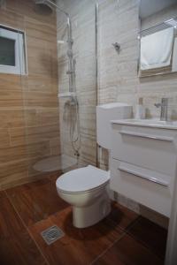 a bathroom with a toilet and a shower and a sink at House for rest in Mostar