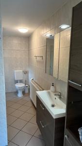 een badkamer met een wastafel en een toilet bij Ferienhaus Elke in Zinnowitz