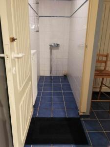 a bathroom with a shower and a blue tile floor at Mégi des Aguesses in Andenne