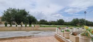 a row of potted plants in a park at Maison dolce vita in Ţūzah