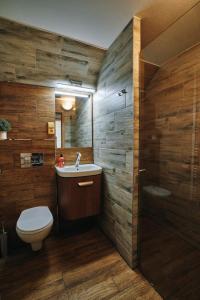 ein Bad mit einem WC, einem Waschbecken und einer Dusche in der Unterkunft GARAGE Harrachov in Harrachov