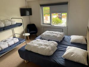 Cette chambre comprend 2 lits superposés et une fenêtre. dans l'établissement Danhostel Thorhallen Jels, à Jels