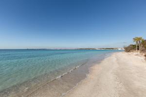 Fotografia z galérie ubytovania Villa Goa by BarbarHouse v destinácii Porto Cesareo